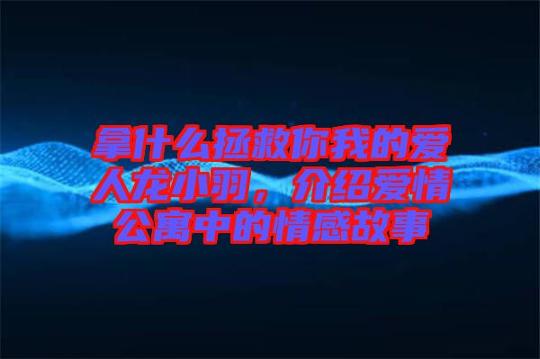 拿什么拯救你我的愛人龍小羽，介紹愛情公寓中的情感故事