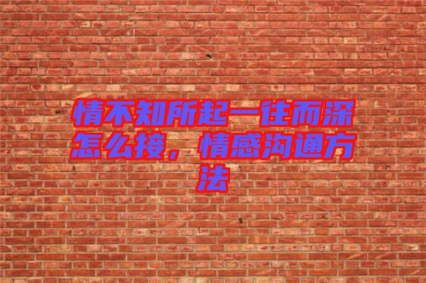 情不知所起一往而深怎么接，情感溝通方法