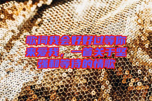 歌詞我會好好過等你來愛我，一首關(guān)于堅強(qiáng)和等待的情歌