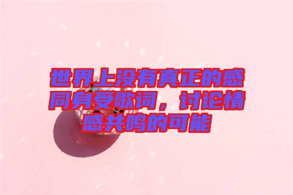 世界上沒有真正的感同身受歌詞，討論情感共鳴的可能