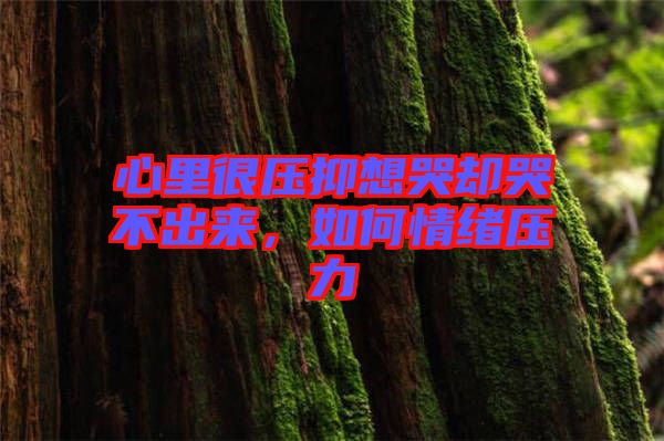 心里很壓抑想哭卻哭不出來，如何情緒壓力