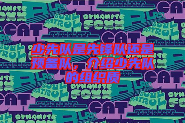 少先隊是先鋒隊還是預備隊，介紹少先隊的組織質(zhì)