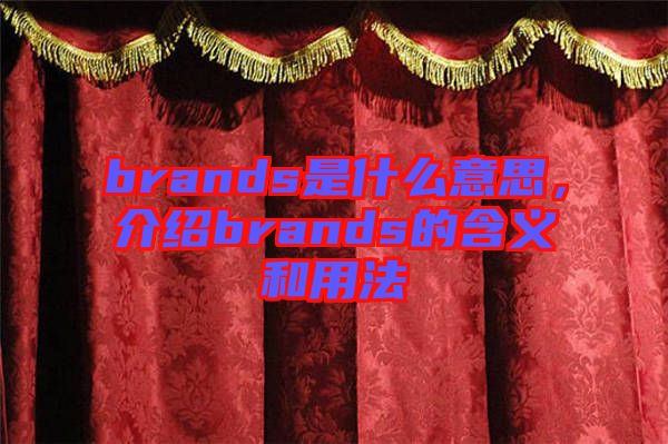 brands是什么意思，介紹brands的含義和用法