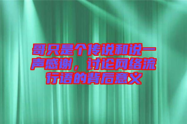 哥只是個(gè)傳說和說一聲感謝，討論網(wǎng)絡(luò)流行語的背后意義