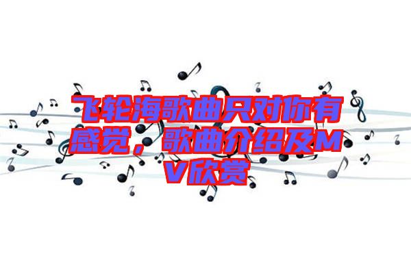 飛輪海歌曲只對(duì)你有感覺(jué)，歌曲介紹及MV欣賞