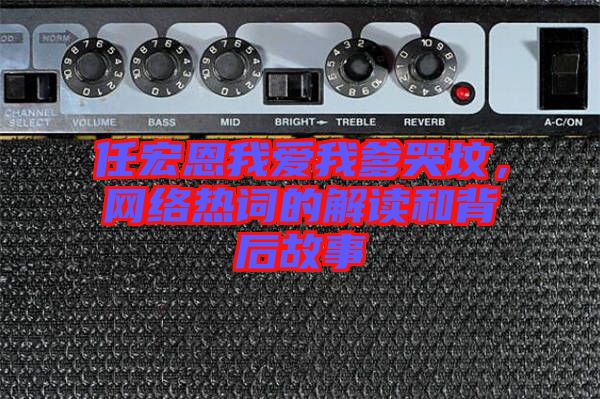 任宏恩我愛我爹哭墳，網(wǎng)絡(luò)熱詞的解讀和背后故事