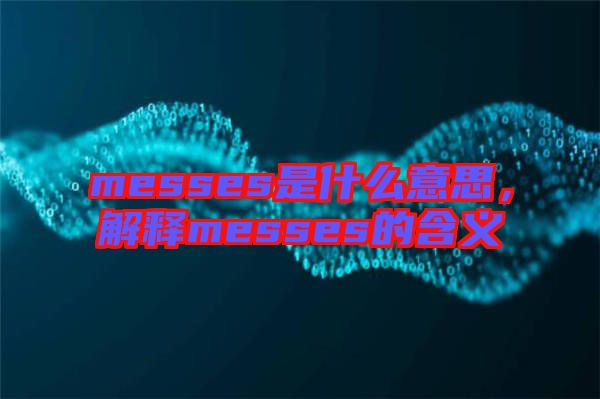 messes是什么意思，解釋messes的含義