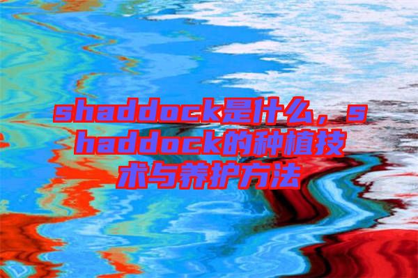 shaddock是什么，shaddock的種植技術(shù)與養(yǎng)護方法