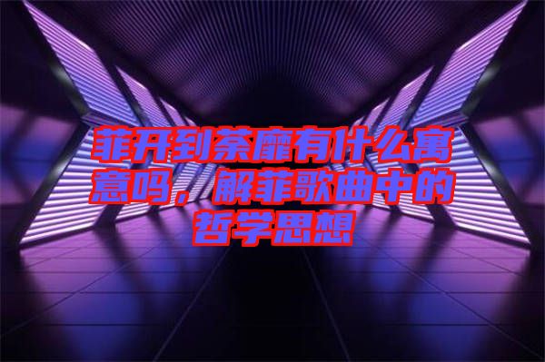 菲開到荼靡有什么寓意嗎，解菲歌曲中的哲學(xué)思想