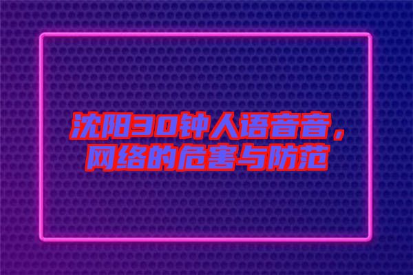 沈陽30鐘人語音音，網(wǎng)絡的危害與防范