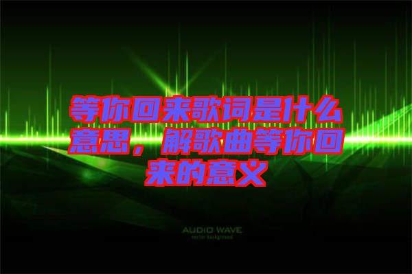 等你回來歌詞是什么意思，解歌曲等你回來的意義
