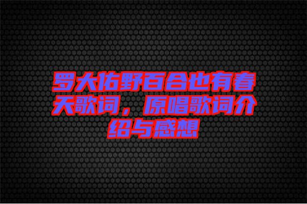 羅大佑野百合也有春天歌詞，原唱歌詞介紹與感想