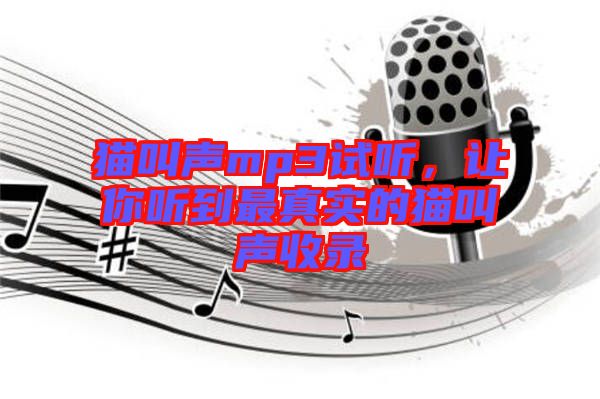貓叫聲mp3試聽，讓你聽到最真實(shí)的貓叫聲收錄