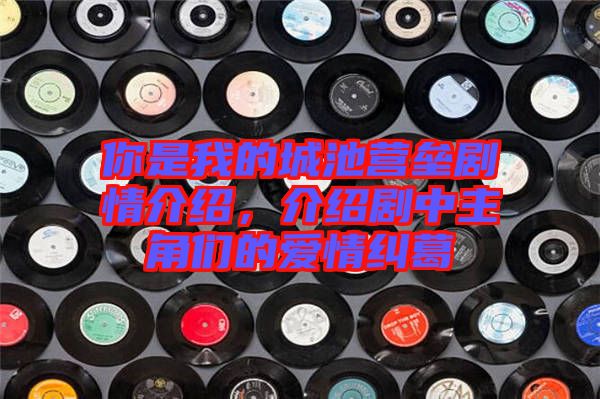 你是我的城池營壘劇情介紹，介紹劇中主角們的愛情糾葛