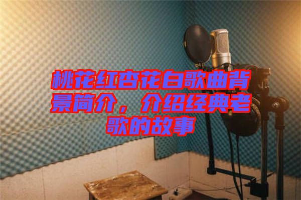 桃花紅杏花白歌曲背景簡(jiǎn)介，介紹經(jīng)典老歌的故事