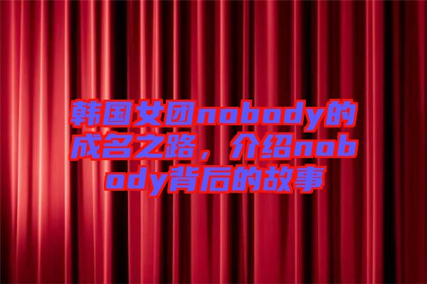 韓國女團(tuán)nobody的成名之路，介紹nobody背后的故事