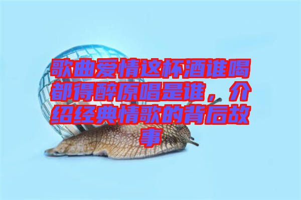 歌曲愛情這杯酒誰喝都得醉原唱是誰，介紹經(jīng)典情歌的背后故事