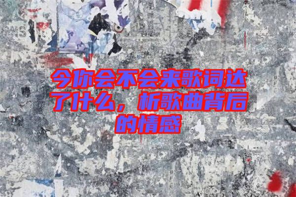 今你會不會來歌詞達了什么，析歌曲背后的情感