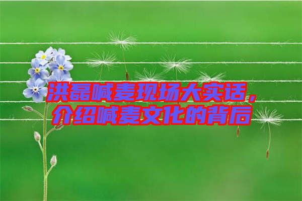 洪磊喊麥現(xiàn)場大實話，介紹喊麥文化的背后