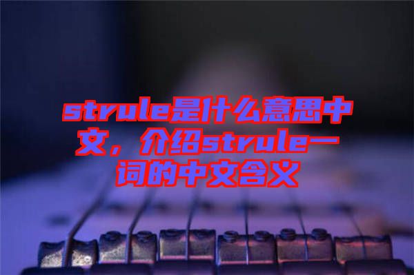 strule是什么意思中文，介紹strule一詞的中文含義