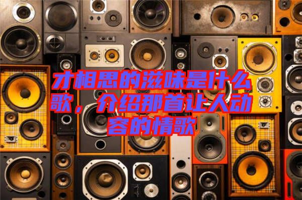 才相思的滋味是什么歌，介紹那首讓人動(dòng)容的情歌