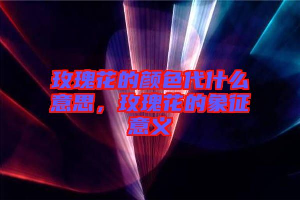 玫瑰花的顏色代什么意思，玫瑰花的象征意義