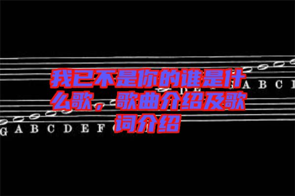 我已不是你的誰是什么歌，歌曲介紹及歌詞介紹