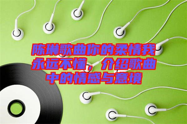 陳琳歌曲你的柔情我永遠(yuǎn)不懂，介紹歌曲中的情感與意境