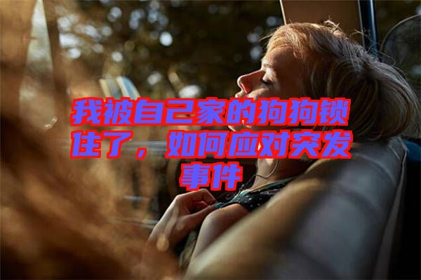 我被自己家的狗狗鎖住了，如何應(yīng)對突發(fā)事件