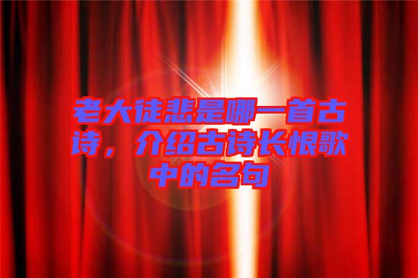 老大徒悲是哪一首古詩，介紹古詩長恨歌中的名句