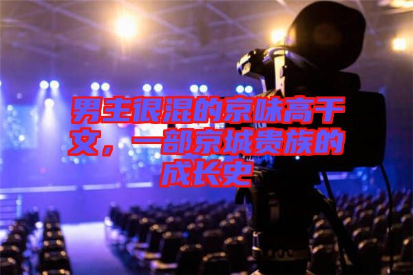 男主很混的京味高干文，一部京城貴族的成長史