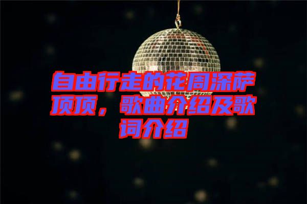 自由行走的花周深薩頂頂，歌曲介紹及歌詞介紹