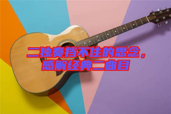 二獨奏擋不住的思念，感解經典二曲目
