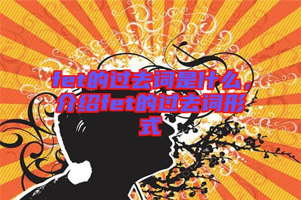 fet的過去詞是什么，介紹fet的過去詞形式