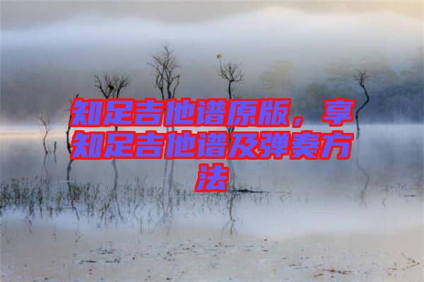 知足吉他譜原版，享知足吉他譜及彈奏方法