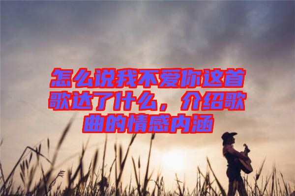 怎么說我不愛你這首歌達了什么，介紹歌曲的情感內(nèi)涵