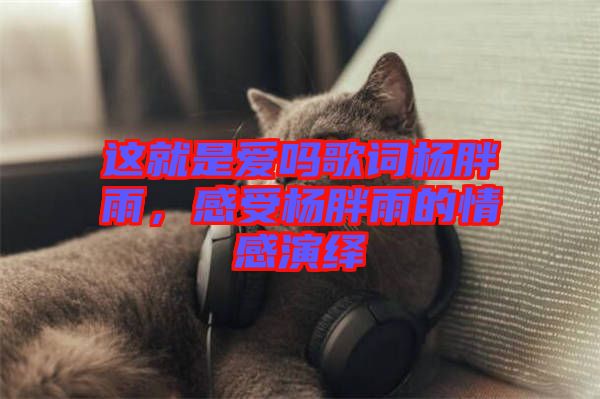 這就是愛嗎歌詞楊胖雨，感受楊胖雨的情感演繹