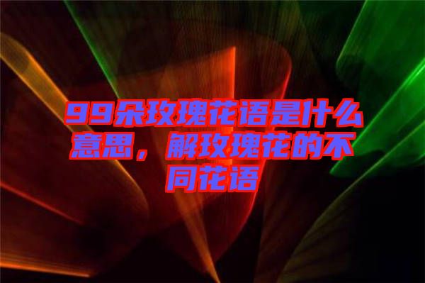 99朵玫瑰花語是什么意思，解玫瑰花的不同花語