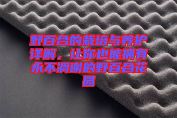 野百合的栽培與養(yǎng)護(hù)詳解，讓你也能擁有永不凋謝的野百合花園