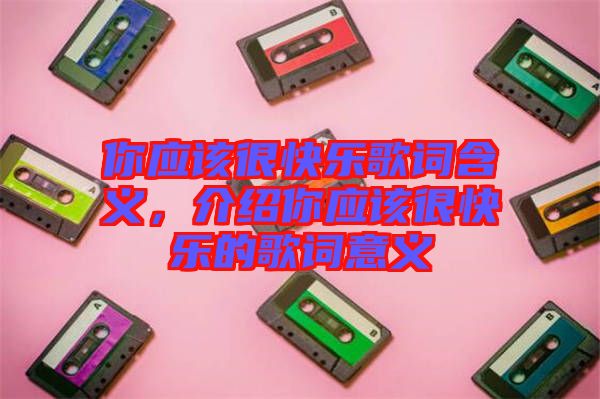 你應(yīng)該很快樂歌詞含義，介紹你應(yīng)該很快樂的歌詞意義