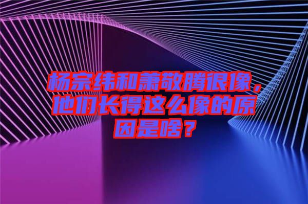 楊宗緯和蕭敬騰很像，他們長得這么像的原因是啥？