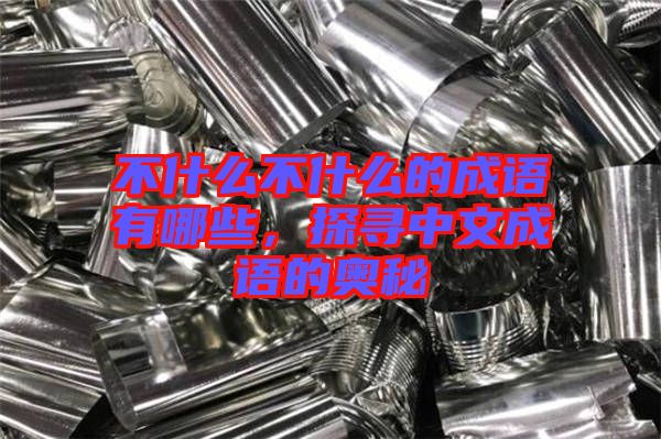 不什么不什么的成語(yǔ)有哪些，探尋中文成語(yǔ)的奧秘