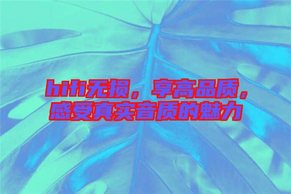 hifi無損，享高品質(zhì)，感受真實(shí)音質(zhì)的魅力