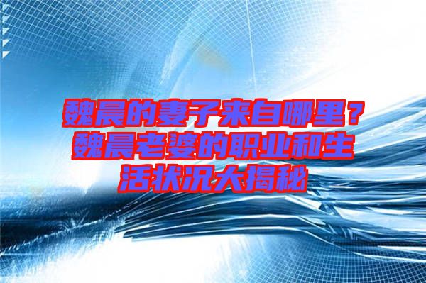 魏晨的妻子來自哪里？魏晨老婆的職業(yè)和生活狀況大揭秘