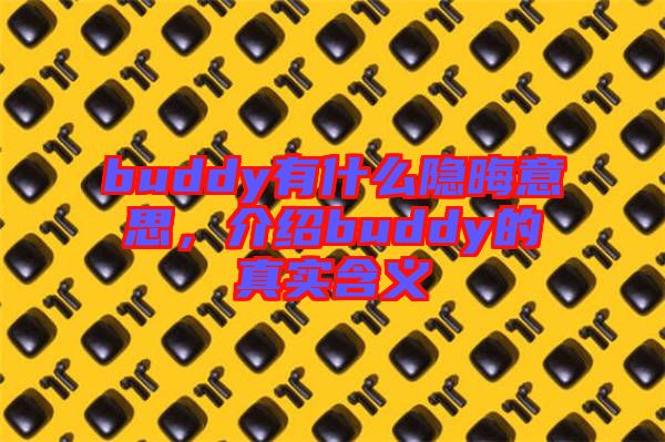 buddy有什么隱晦意思，介紹buddy的真實含義