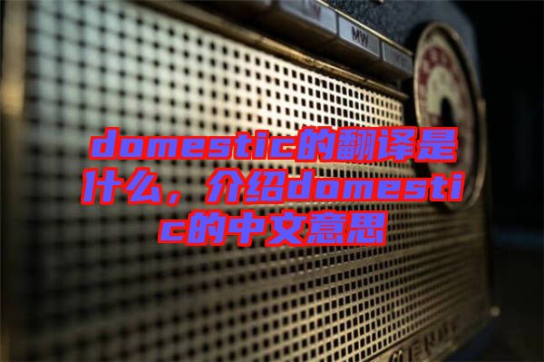 domestic的翻譯是什么，介紹domestic的中文意思