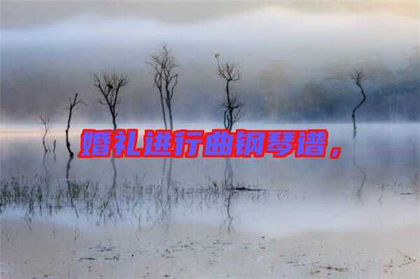 婚禮進(jìn)行曲鋼琴譜，