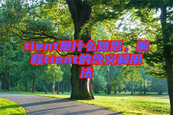 tient是什么意思，解釋tient的含義和用法