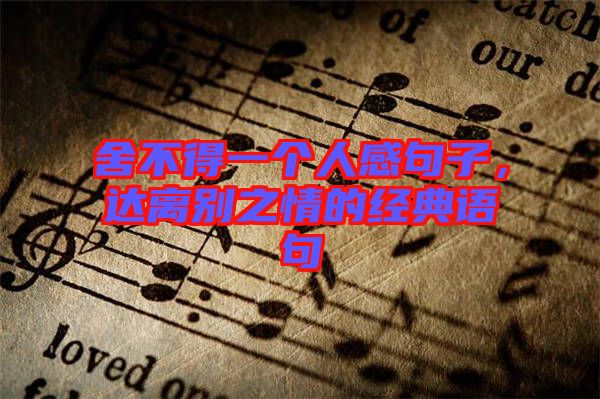 舍不得一個(gè)人感句子，達(dá)離別之情的經(jīng)典語(yǔ)句