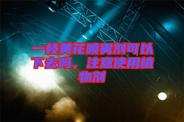 一枝黃花噴霧劑可以下去嗎，注意使用植物劑